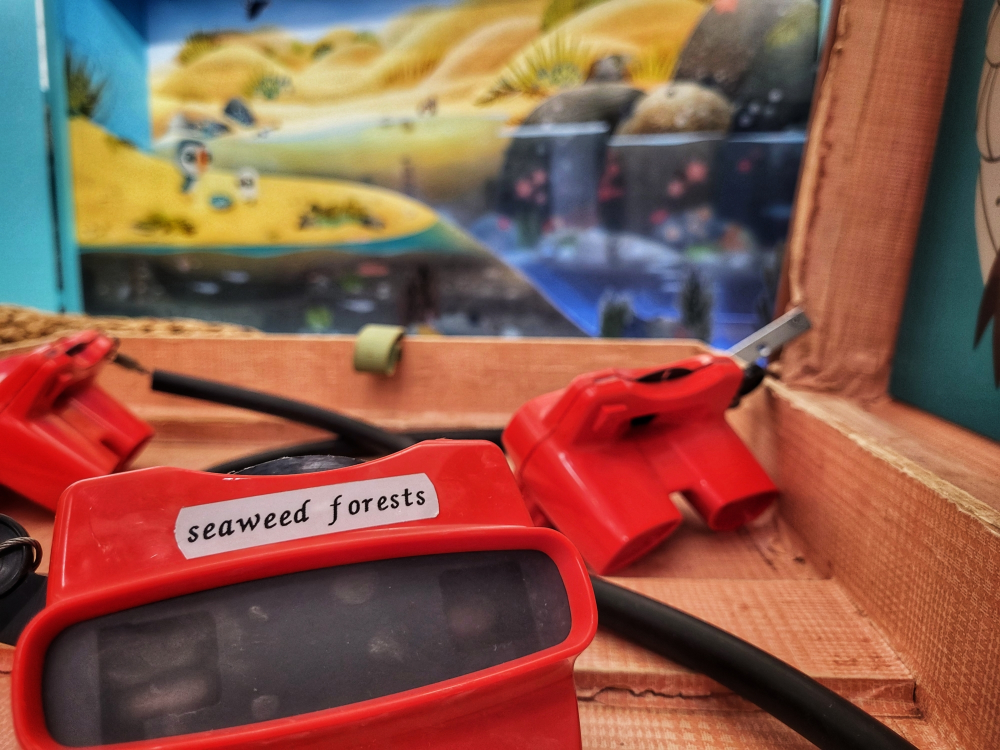 Puffin Rock Habitats exhibition