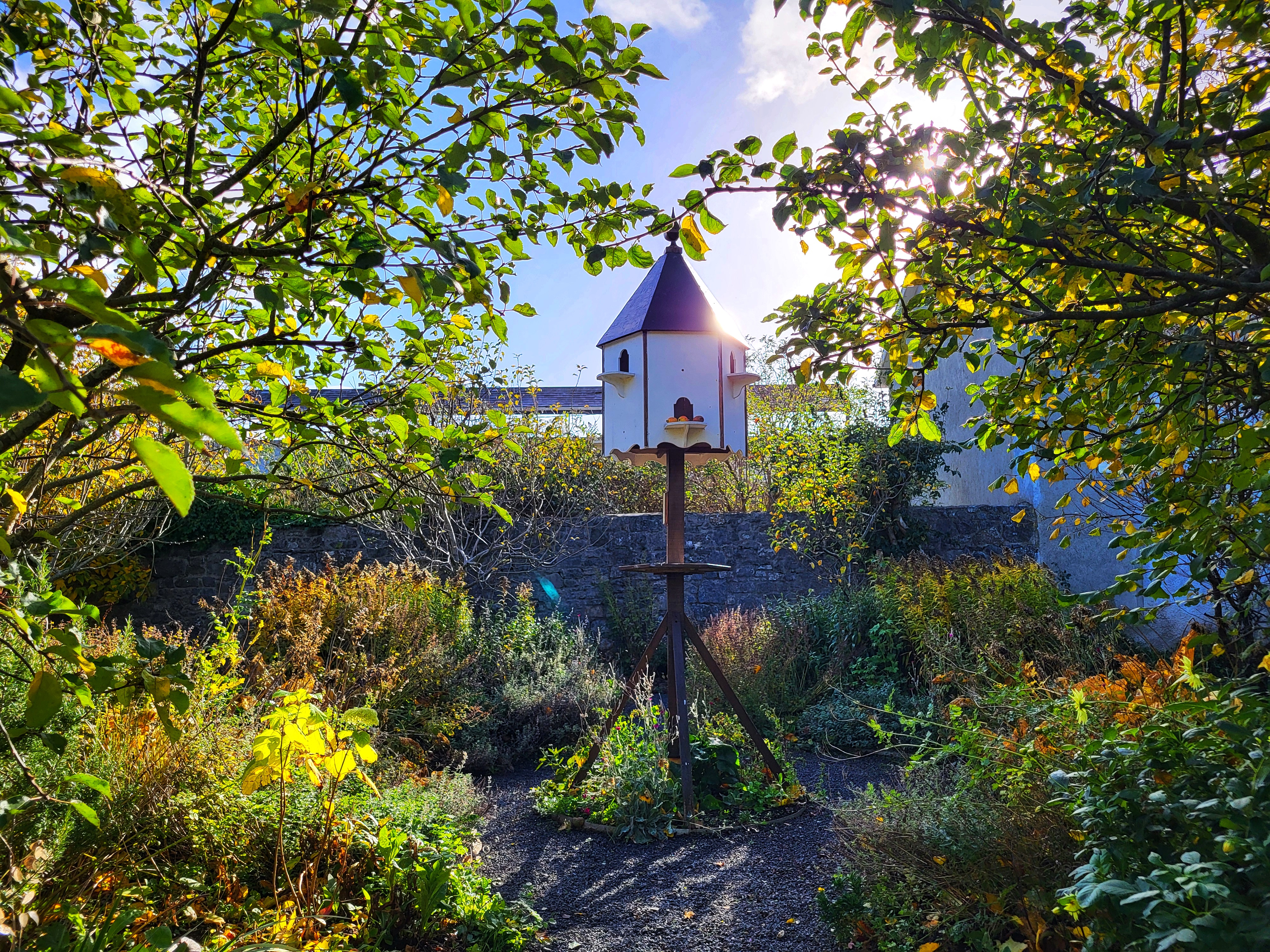 Pigeon house in Rothe House garden in November sunshine