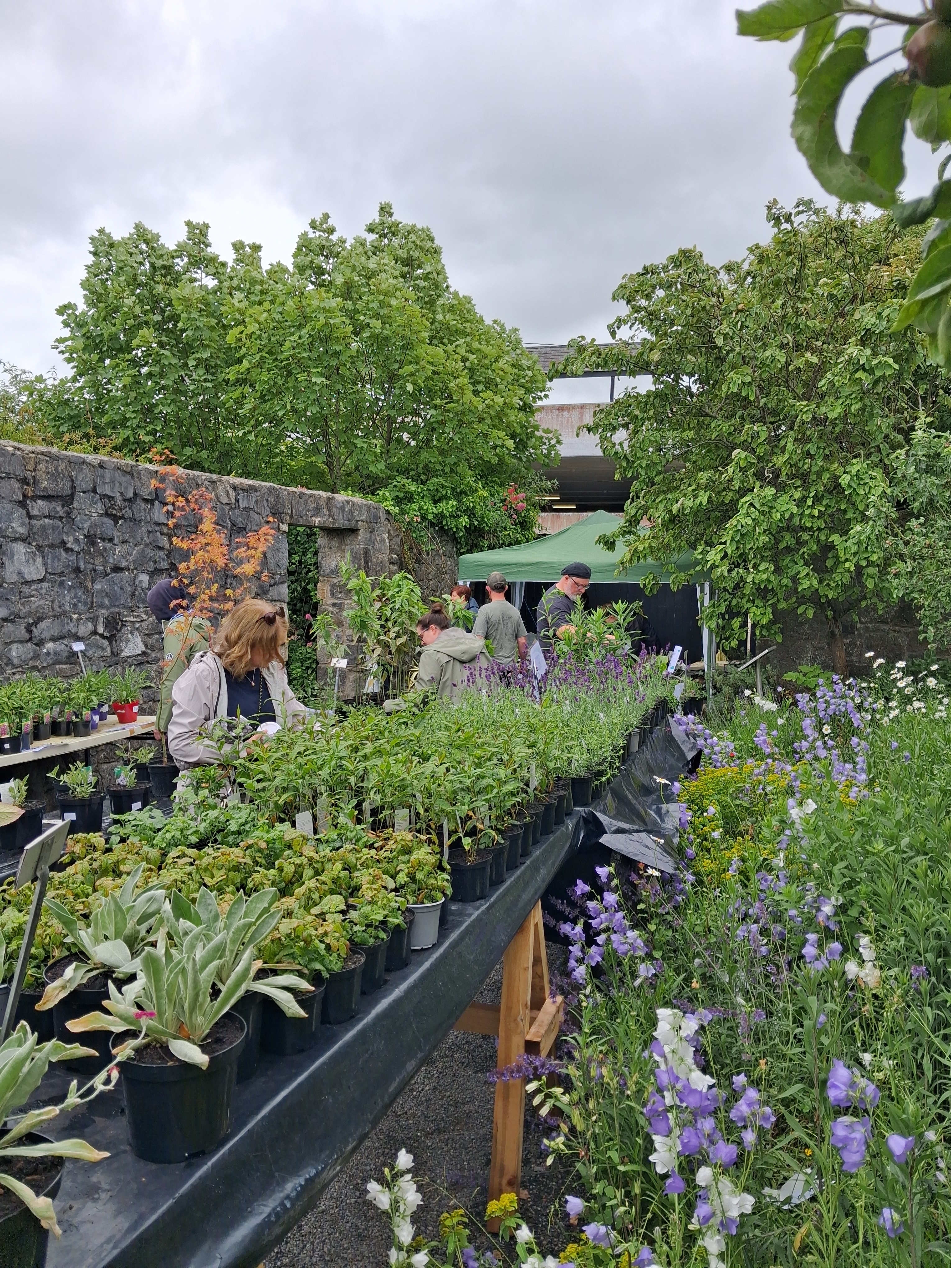 Rothe House plant sale 2026